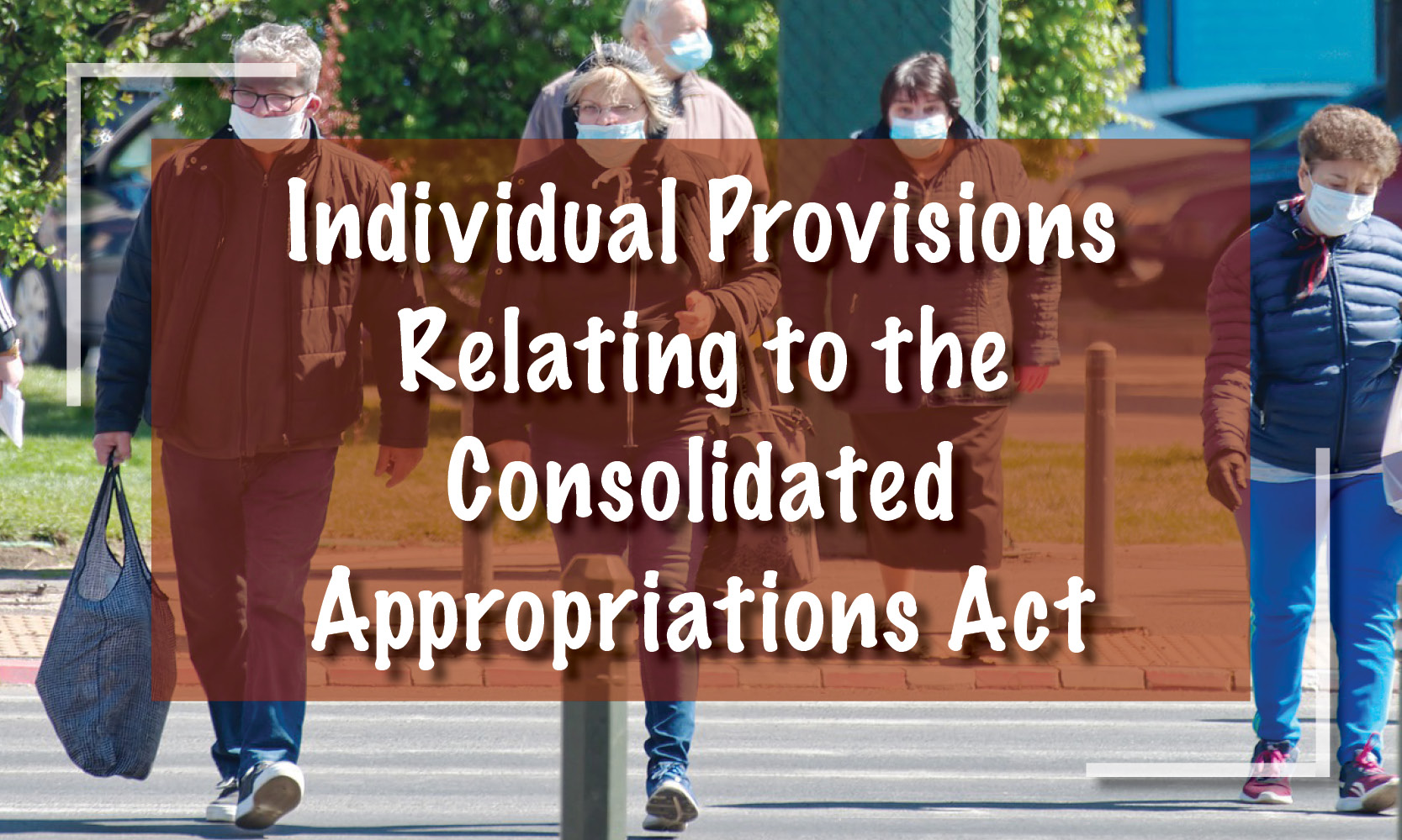 Individual Provisions Relating to the Consolidated Appropriations Act